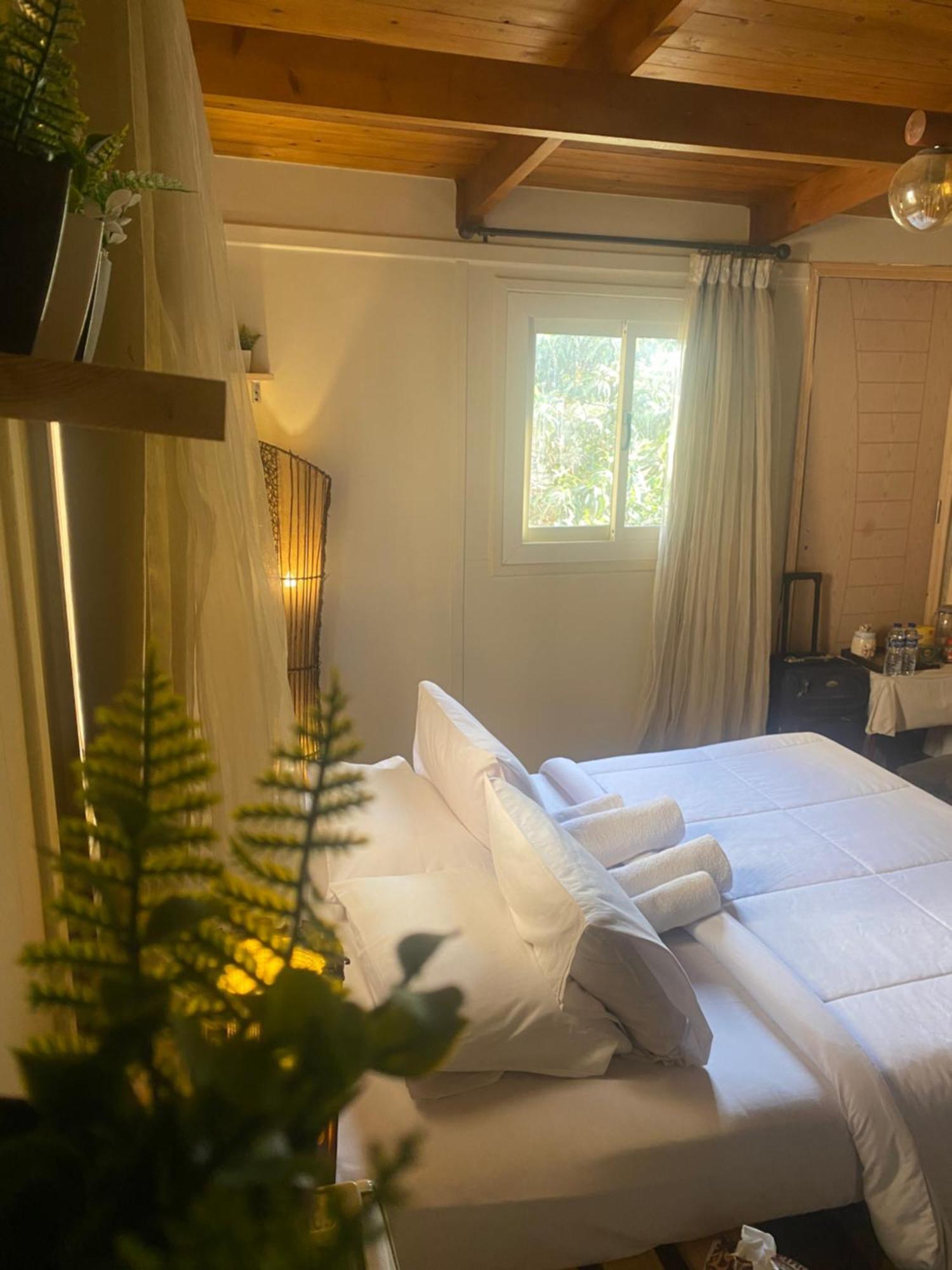 Airport Rooftop Club Luxurious Rooms And Studios Kair Zewnętrze zdjęcie